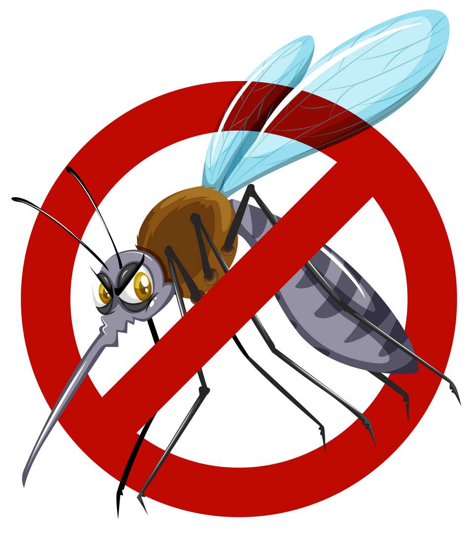 Dengue fever alert - What you need to know to protect yourselves ...